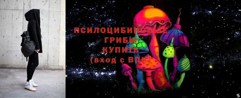 нарко площадка состав  Нахабино  Псилоцибиновые грибы MAGIC MUSHROOMS 